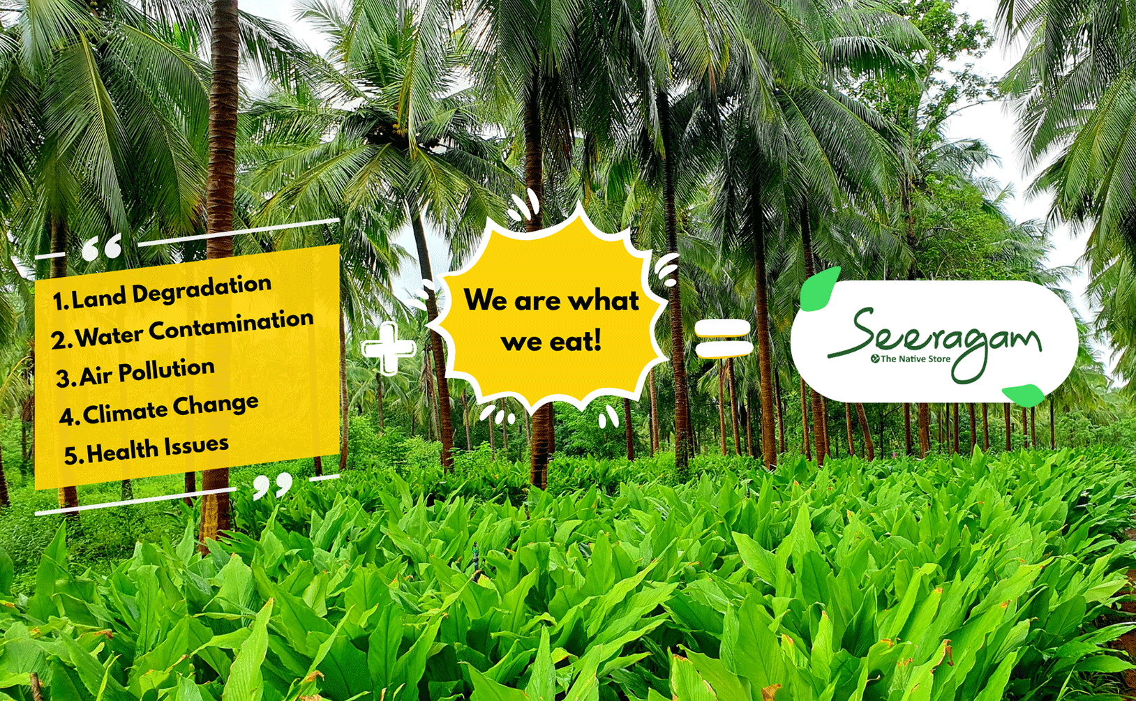 Organic farm fields